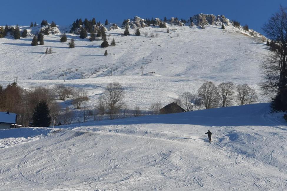 Le Chalet de Poche - Gite 2 étoiles - 5 pers Habère-Poche Esterno foto